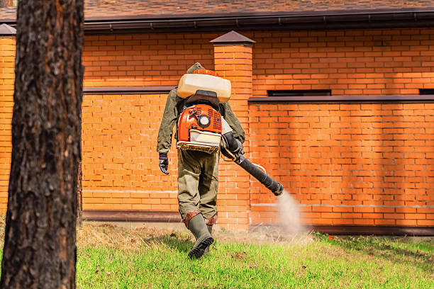 Trusted Mosquito Control service in Laguna Niguel, CA - Nex Pest Control